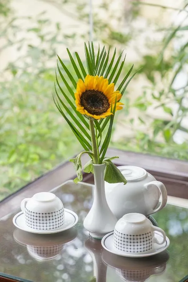 Golden Soulmate Homestay Hoi An 0*,  Vietnam